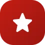4.8 Google Rating